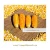Import Yellow Maize Corn - YELLOW CORN - from UKRAINE from Ukraine