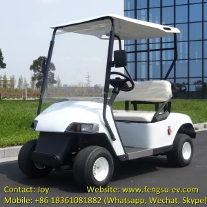China 2, 4, 6, 8 seater electric golf cart/ golf car/ golf buggy