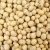 Import Wholesale GMO and Non GMO Soyabean / Soybeans Exporters from Germany