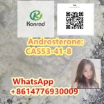 Androsterone:CAS53-41-8