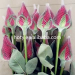 1-10kg PE Onion Plastic Carry Bag Making Producing Machine