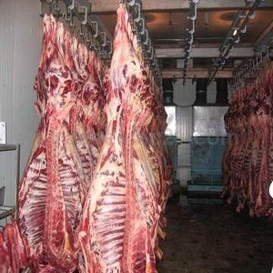 100% Halal Fresh/Frozen Sheep/Goat/Lamb Meat/Carcass...