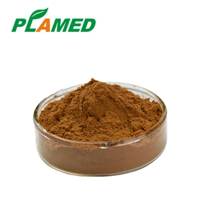 100% Herbal Organic Powder Ginkgo Leaves Biloba Extract