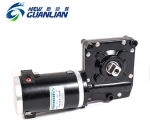 12v Electric worm gear 24v gear micro gear high torque dc motor