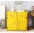 Import 2 door container cabinet, cheap luxury fashion container cabinet wine cabinet, locker, industrial antique style from China