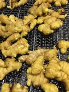 2017 fresh ginger good quality ginger ginger factory