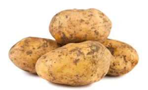 2019 New crop  fresh potato