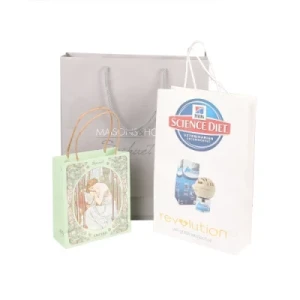 2020 Competitive Lid and Base Cosmetic Paper Gift Packaging Bag