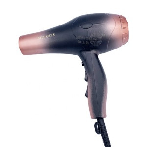 2020 Gradient Color Hand Hair Dryer Styler Ionic Hair Dryer Motor