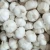 Import 2020 New crop China/Chinese cheap Price Fresh Garlic from China