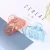 Import 2021 most popular large mediem and small size Lucency Mist side matte hair claw clips octopus hair clips from China