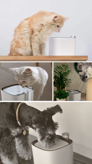 2021 New design Hot Selling Pet Water Fountain Automatic Dog Cat Water Dispenser 5V/1A/3L Drinking Fountains Bowl with LED Light