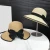 Import 2024 New Fashion Straw Hat Custom Wide Brim Wholesale Outdoor Beach Hat Ladies Style Foldable Panama Hat With Bowknot Ribbon from China