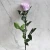 Import 30cm Stem Forever Rose Preserved Completely Rose Flower For Decorations from China