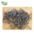 Import 45# Concrete Steel Nail / Cement Nail / Galvanized Masonry Nails from China