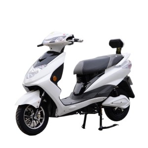 800W Electric Motorbike with Front Disc Brake