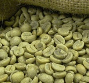 Affordable Price   Roasted Guatemala Coffee Bean for Export