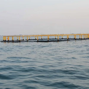 Africa High Temperature Resistant Floating PE net Fish Farming Cages