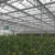 Import Agricultural Multi-span Glass Greenhouse with Irrigation&Hydroponics Equipment from China