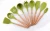 Import Amazon Hot sale 9 piece silicone kitchen Utensils cooking tools with wood handle from China