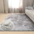 Import Amazon hot sale home deco carpets rugs living room faux fur rug from China