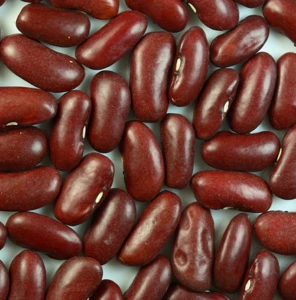 American Round Light Red Speckled Kidney Beans Chinese White Lima Beans