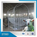 Animal Feeder