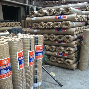Anping 1/4&#39;&#39; 1/2&#39;&#39; 1&#39;&#39; square opening BWG12 - 26 Galvanized iron wire welded wire mesh, nets export to india (I - 043)