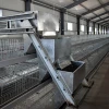 Automatic poultry farm equipment design layer quail cages for sale