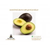 AVOCADO FRESH / Aguacate / PALTA HASS ,Fresh Fruit &amp; Hass Avocados for sale