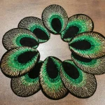Beautiful Peacock Eye Motif Applique Animal Embroidery Patch Green Peacock Patch embroidery Sewing Patch Craft Supplies
