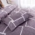 Import Bedding Set Simple style  Bedding Article  Quilt Cover  Pillow Case  Sheet from China