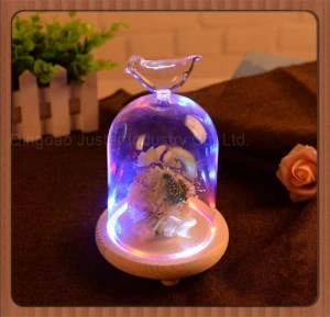 Bell Jar Small Glass Dome with Wood base  Taxidermy Glass Butterfly Dome  Display Tall decorative clear glass bell jar dome