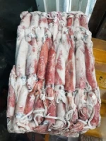 Best Frozen LOLIGO SQUID Whole Round/Frozen LOLIGO SQUID from INDONESIA