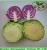 Import Best Price Chinese Mesh Bag Carton Fresh  Green White Chinese Cabbage from China
