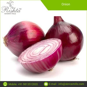 Best Selling Red Fresh Onion at Bulk Price