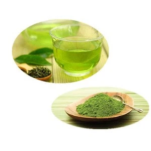 Bio Green Tea Extract 98% High quality EU standard Green Tea Extract in Supplements