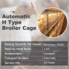 Broiler Poultry Farm House Automated System Battery Broiler Chicken Cage Farm Equipment