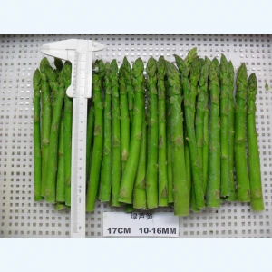 Bulk IQF Fresh Blanched Frozen White and Green Asparagus Spears