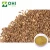 Import Burdock Seed Extract Powder from China