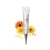 Import Calendula cosmetic gift smoothing and repairing skin care set from China