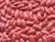Import canned long red wholesale kidney beans 400g in brine/in tomato sauce from China