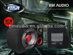Car Active Subwoofer