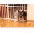 Import Carlson metal folding expandable pet dog gate with doors pet gate from China