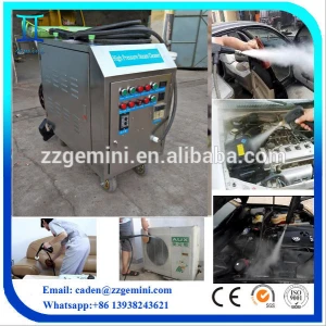CE LPG heating 20 bar portable mobile steam car wash machine price/steam upholstery steam cleaning