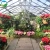 Import Cheap agricultural glass materials multi-span greenhouse sale from China