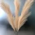 Import Cheap Dried Decorative Pampas Grass Door Artificial Flower artificial flowers for wedding faux pampas grass from China