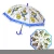 Import Cheap Full Screen Dome EVA Transparent Straight Umbrella,Child umbrella,Kids umbrella from China