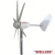 Import cheap price alternative wind power energy electricity generator 300w WS-WT300 from China