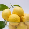 Cheap Price Citrus Fruits Fresh Sicuhan Anyue Lemon